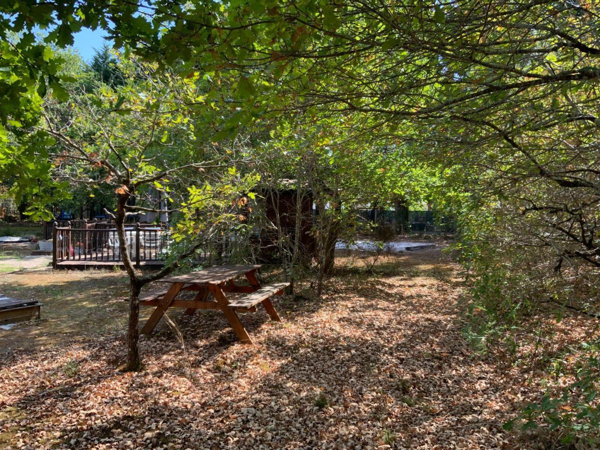 Bed and Breakfast Domaine De Labelo Commensacq Exteriér fotografie